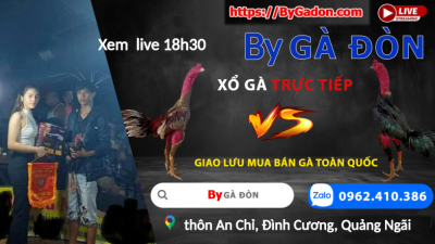 XEM lại Phiên LIVE Bắt đầu 18h23 Ngày 10-04-2026